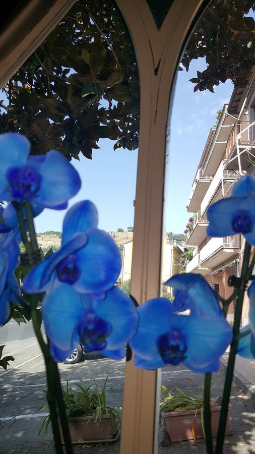 Hotel Ristorante Umbria Orvieto Bagian luar foto